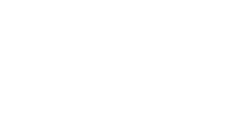 Celimax