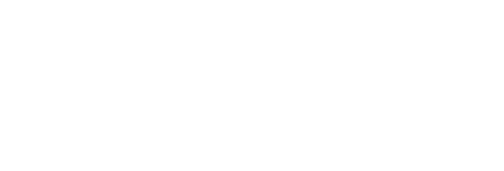 Flydubai2